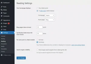 How do I create a custom excerpt in WordPress